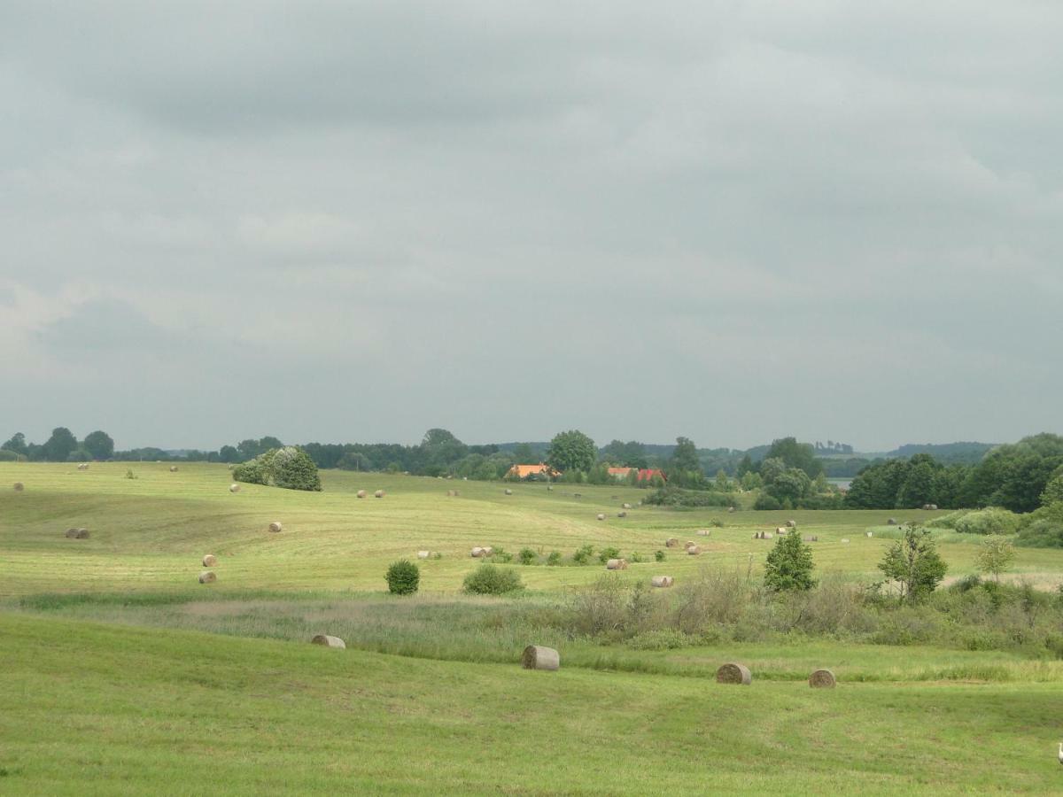 Stajnia Lisewo Villa Exterior foto