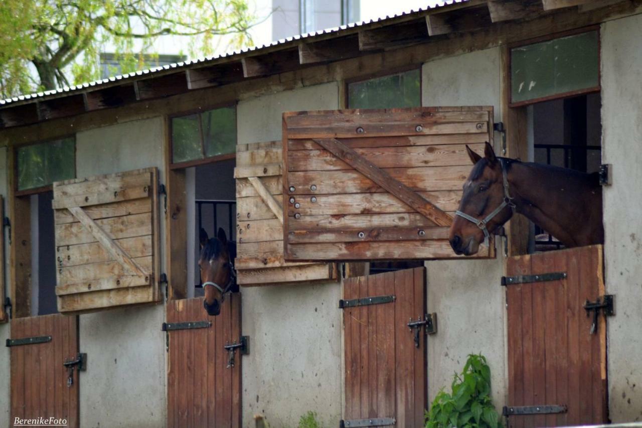 Stajnia Lisewo Villa Exterior foto