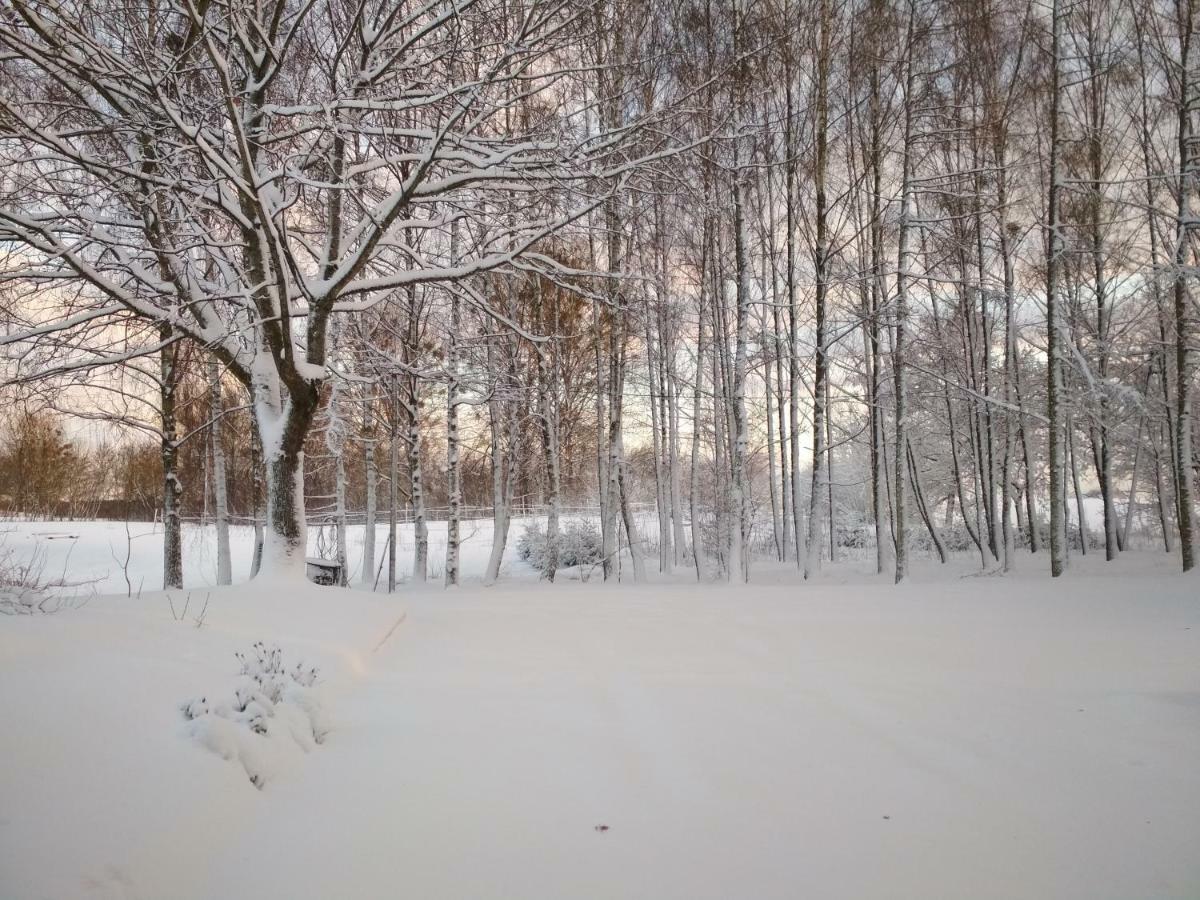 Stajnia Lisewo Villa Exterior foto