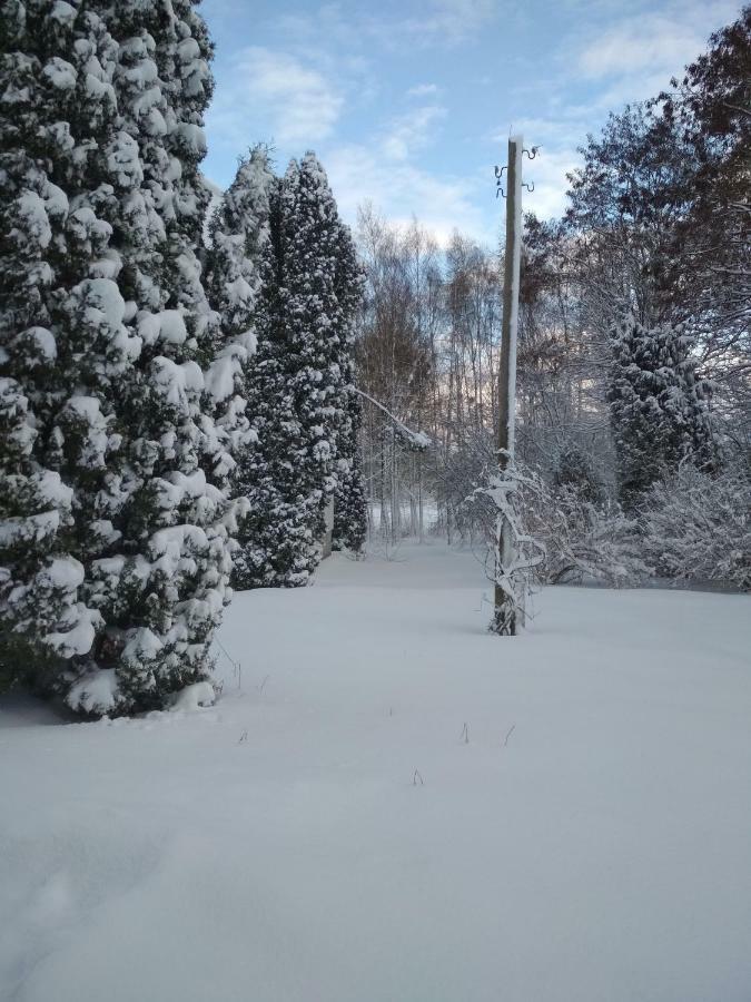 Stajnia Lisewo Villa Exterior foto